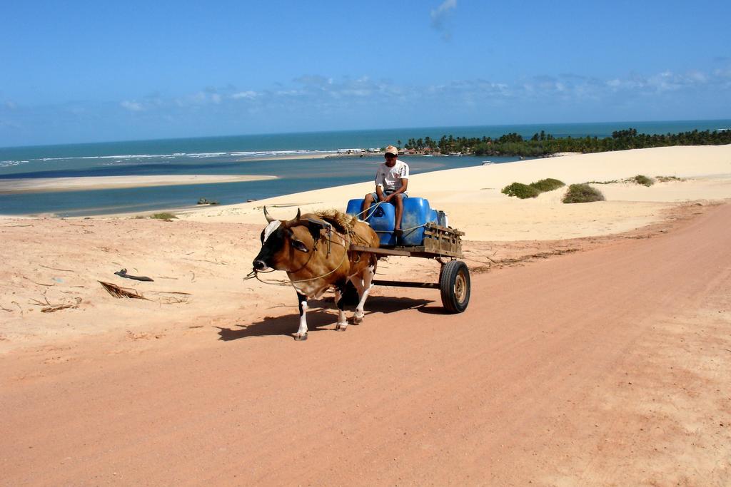 Pousada Barra Do Mundaú Kültér fotó
