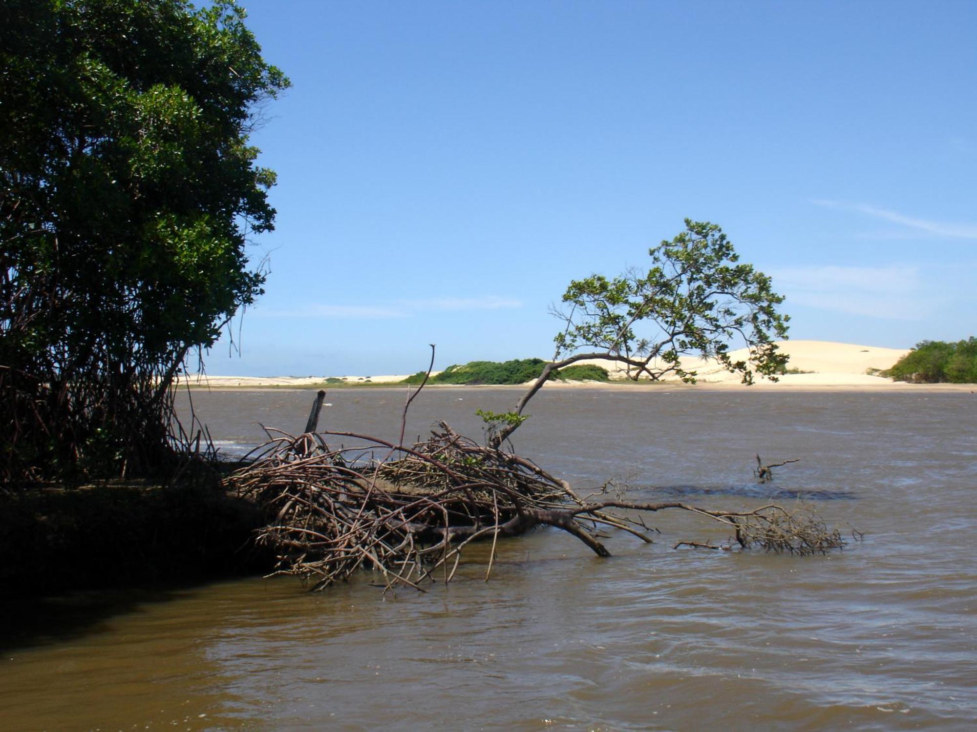 Pousada Barra Do Mundaú Kültér fotó